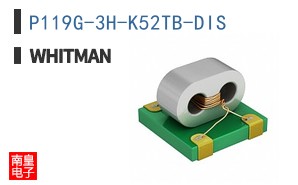 P119G-3H-K52TB-DIS ͼƬ